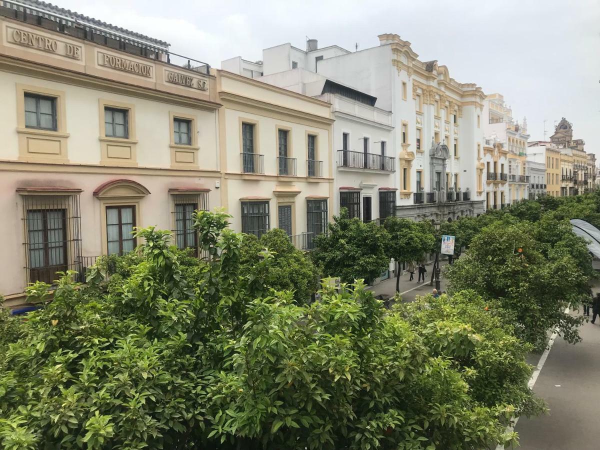 Apartamento Centro Jerez Apartman Jerez de la Frontera Kültér fotó